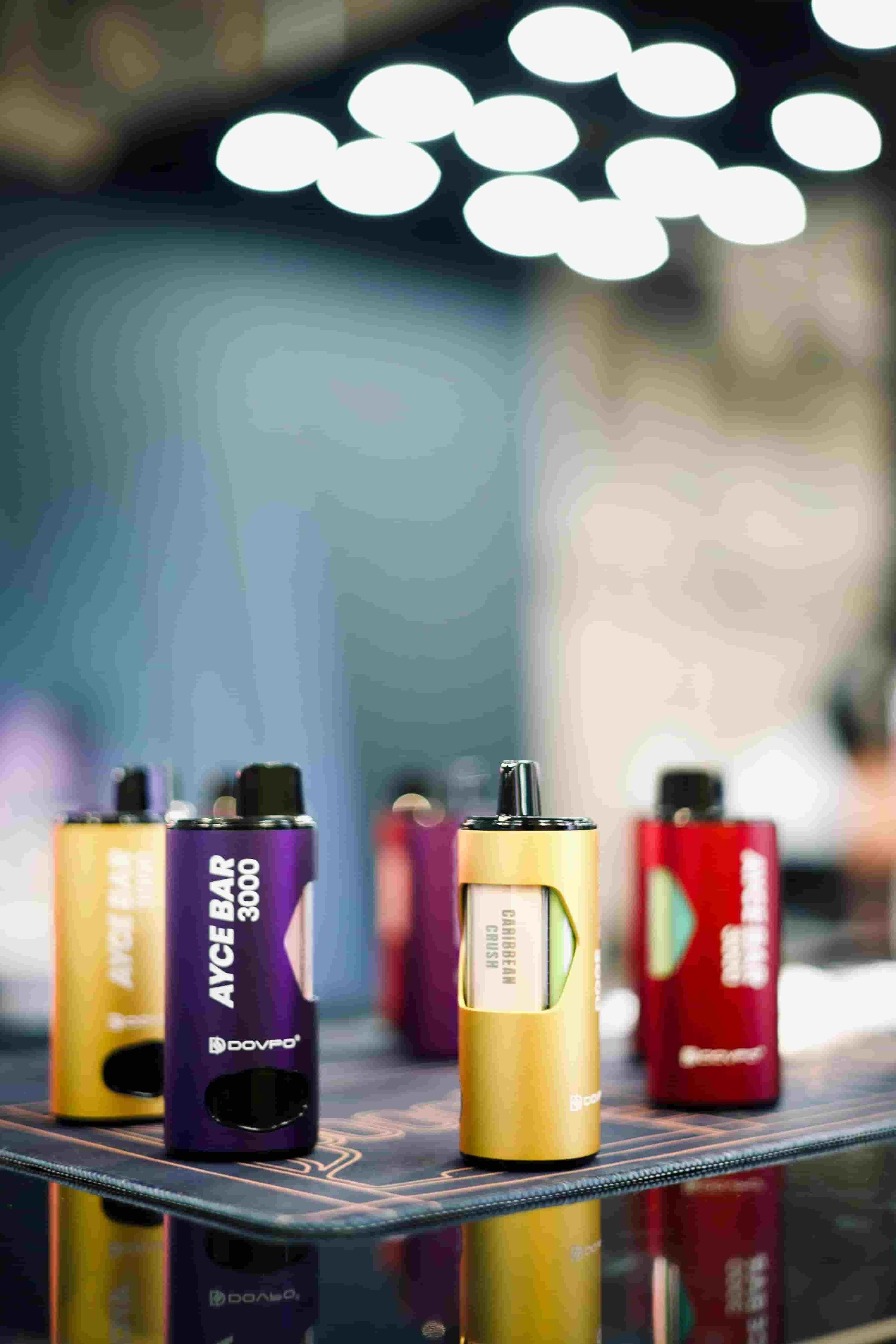 E-Raucher Electronic Cigarettes Explained How Much Is An Electronic Cigarette and Why Choose E-Raucher for Your Vape Needs