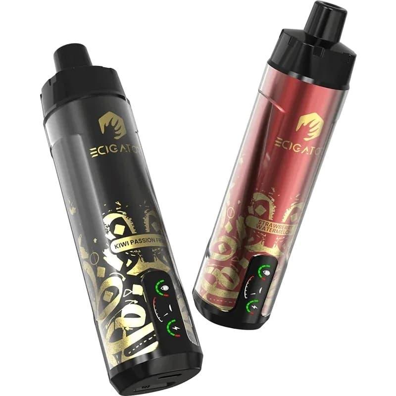 Can You Take an E Cigarette on an Airplane and What About E Papierosy Trends in Travel Safety