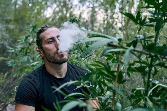 Complete disposable vapes buying guide and real answers to where can i get e cigarettes today
